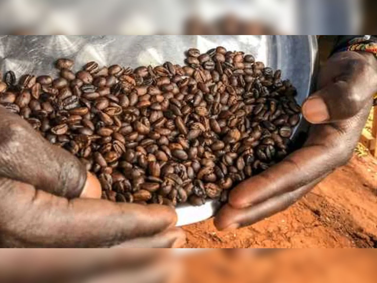 البرلمان الأوغندي يؤجل اتخاذ قرار بشأن صادرات البن