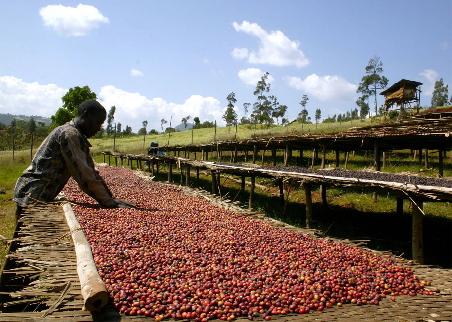 Coffee Processing Methods.. what we know about?!