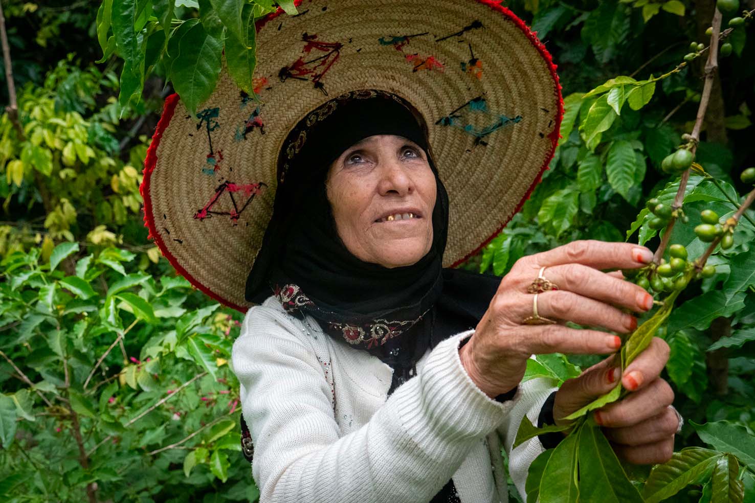 مؤسسة لافاتزا تعيد إحياء مجتمعات إنتاج القهوة في اليمن
