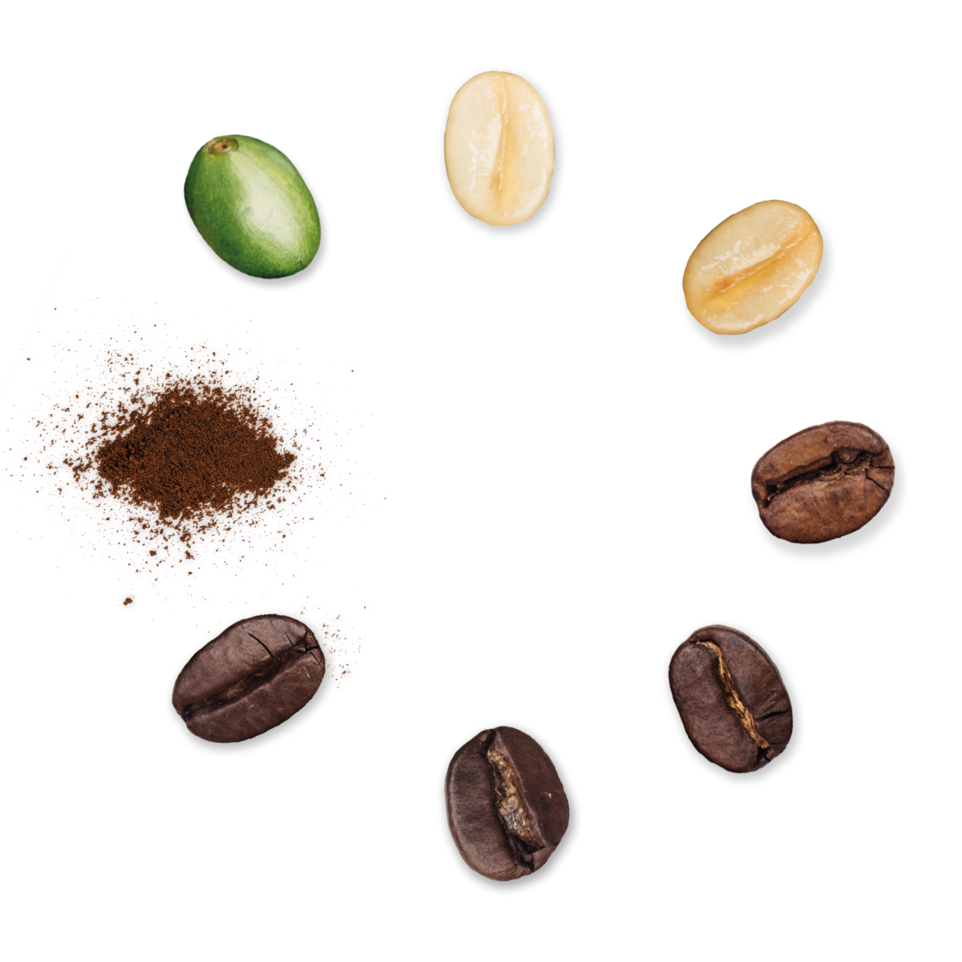 Unlocking the Potential of Coffee Circular Economy: A Path to Global Sustainability