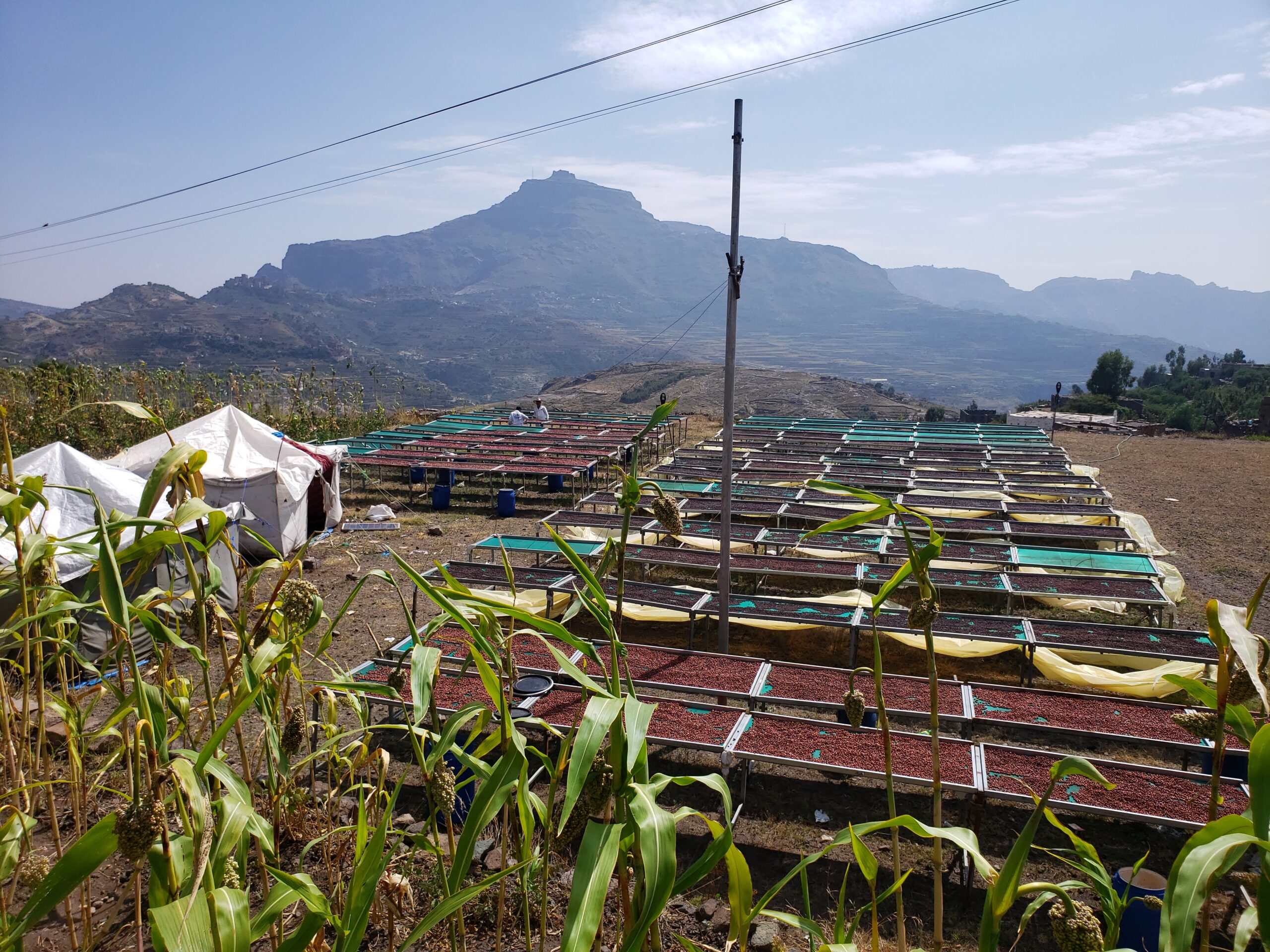 H&C: A Yemeni Innovation Redefining Coffee and Adding a New Dimension to the Tasting Experience
