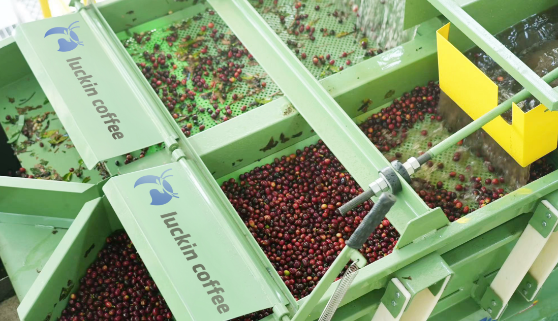 Luckin Coffee Powers Through Q2 2025 with Strong Growth in Sales and Store Expansion