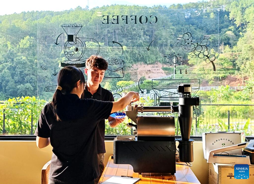 Coffee Industry Boosts Local Economy in Pu’er, China’s Yunnan