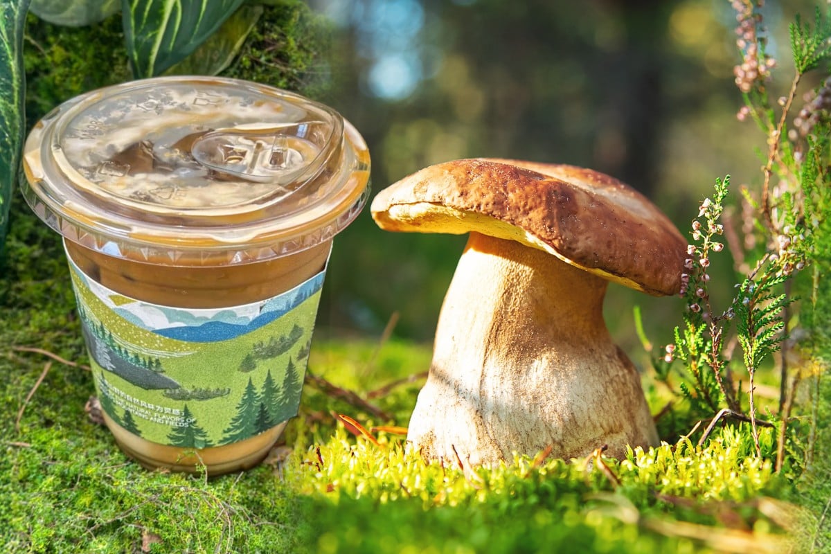 China’s wonders never end .. Mushroom coffee is the latest craze