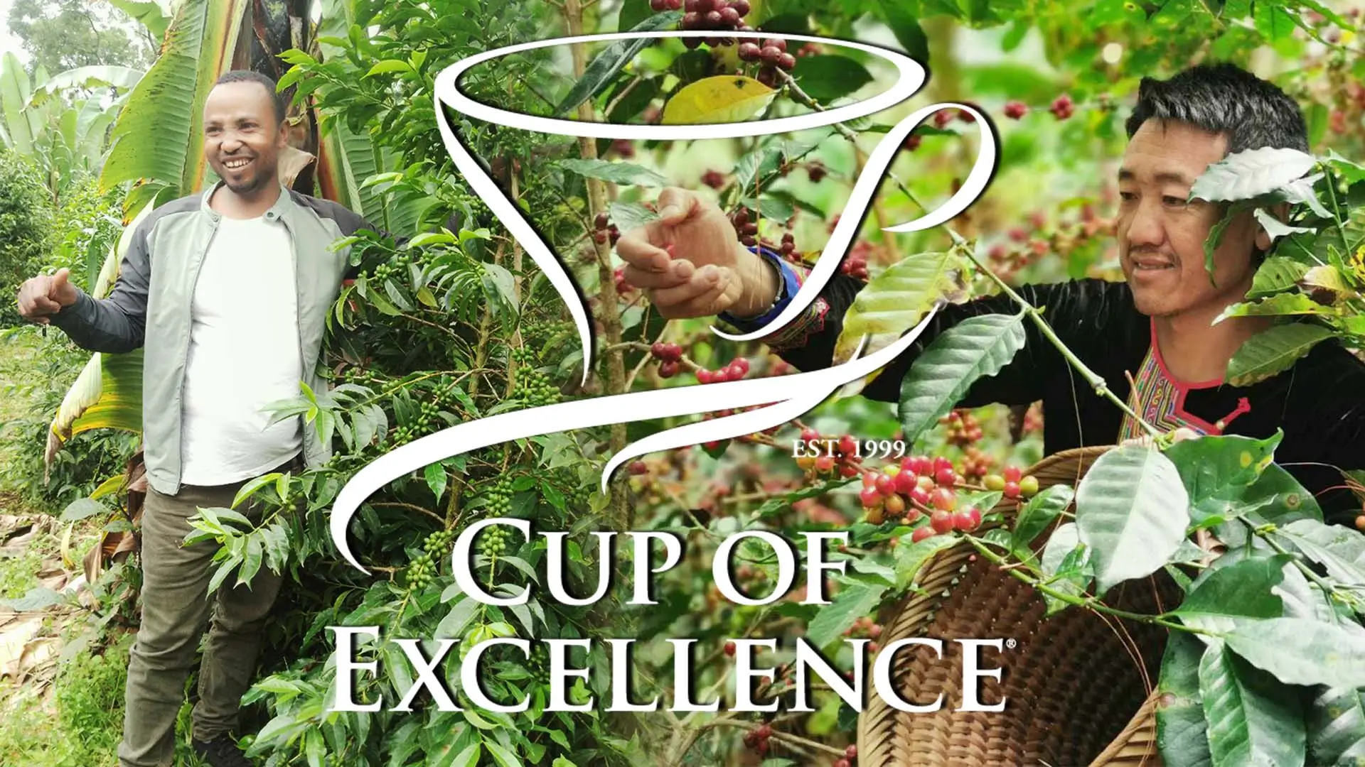 The 2026 Cup of Excellence Calendar Unveiled