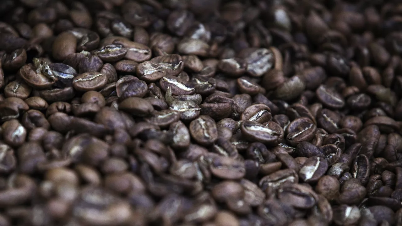 Global Coffee Exports Surge Amid Asian Growth and Latin American Decline