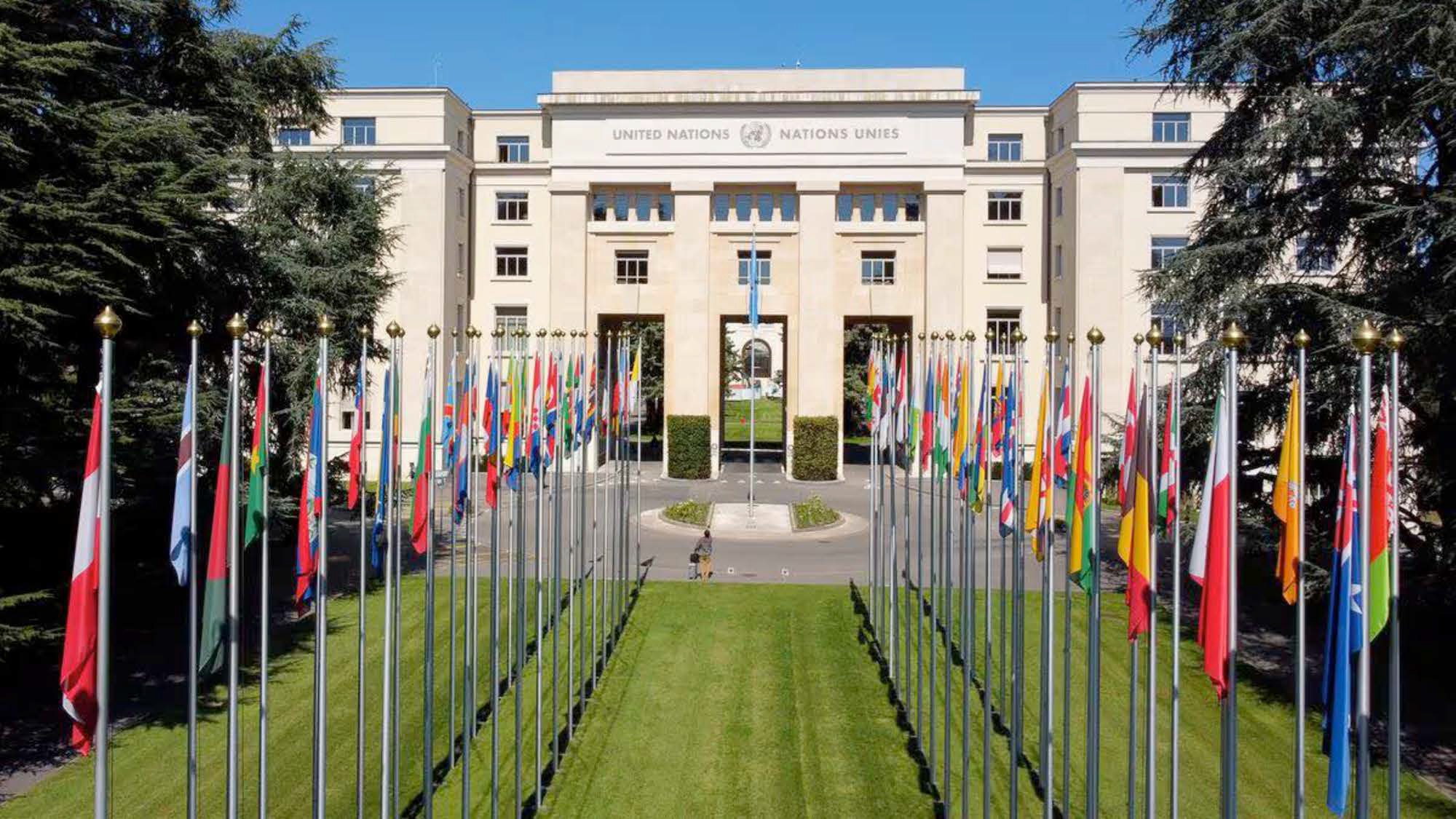 Portail des Nations to Open in June 2026