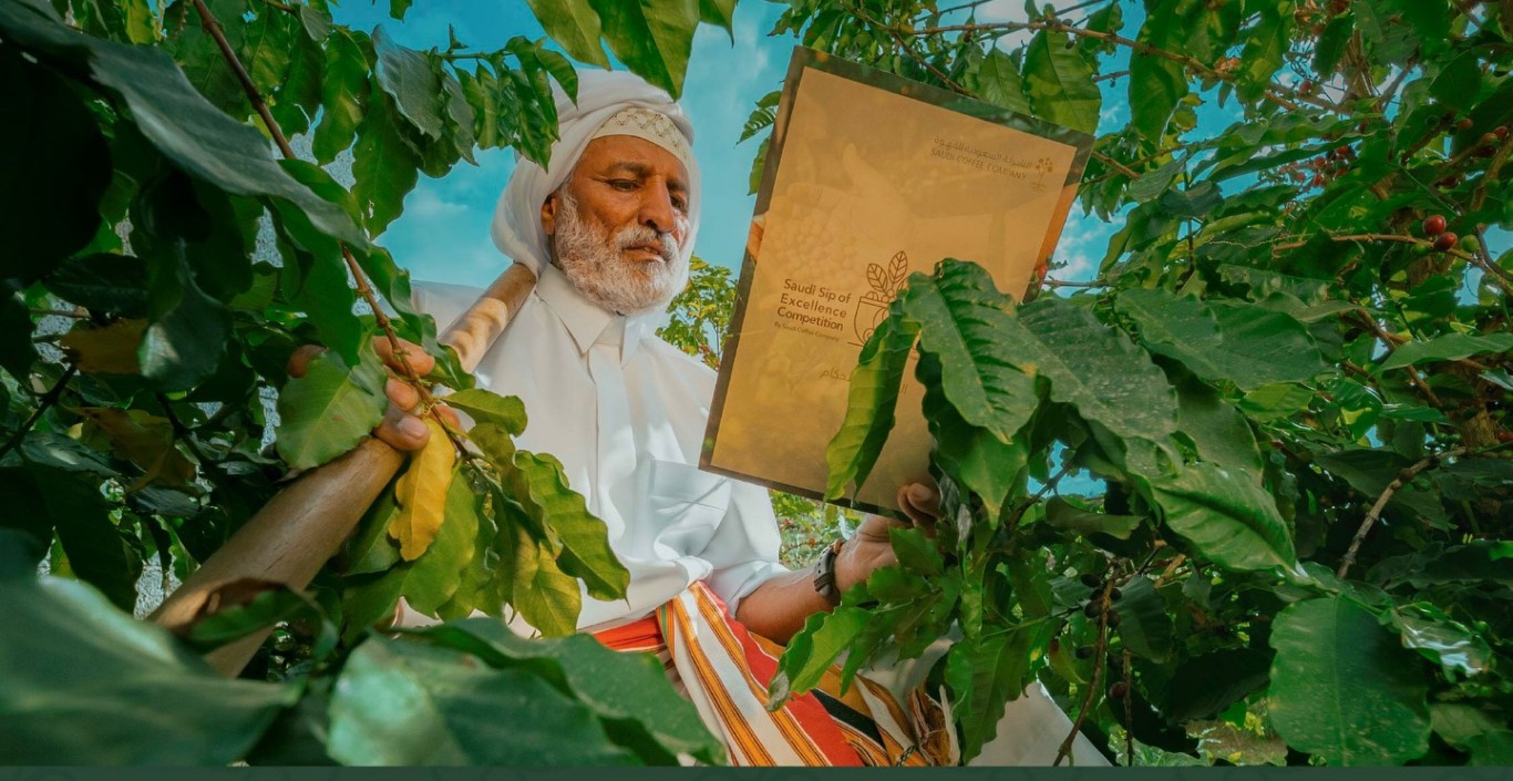 مدينة القهوة السعودية.. القصة الكاملة لمشروع عملاق يغيّر خريطة الزراعة والاقتصاد