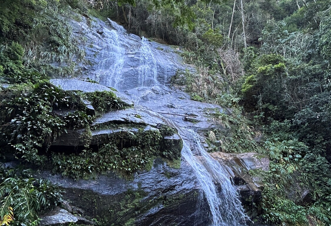 The Memory of Stone: Why Water Chemistry Defines Your Coffee