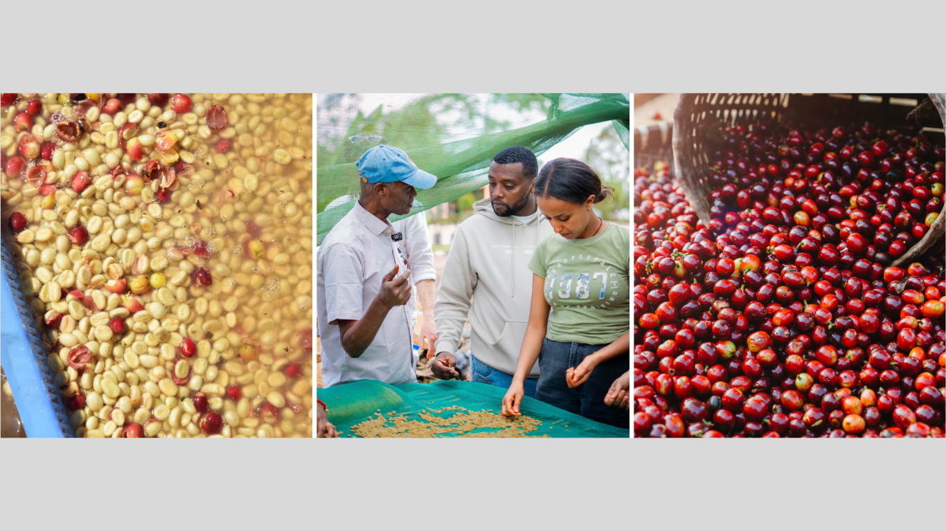Накануне открытия World of Coffee Brussels, генеральный директор Института качества кофе направил сообщение о достижениях 2026 года и планах на будущее